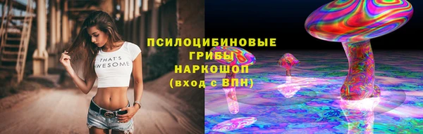 индика Белокуриха