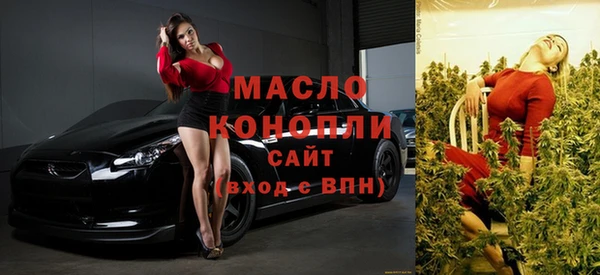 индика Белокуриха