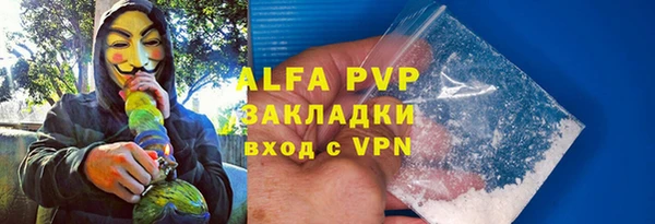 индика Белокуриха