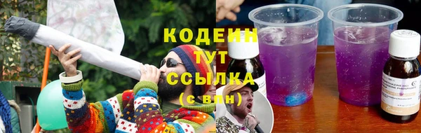 индика Белокуриха