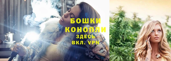индика Белокуриха